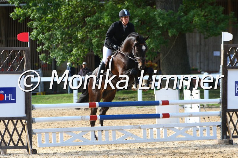 006M6315_Ludwig_Springpferde A.JPG